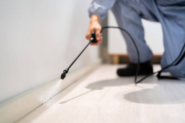 Best Flea Control Services  in Cavalero, WA