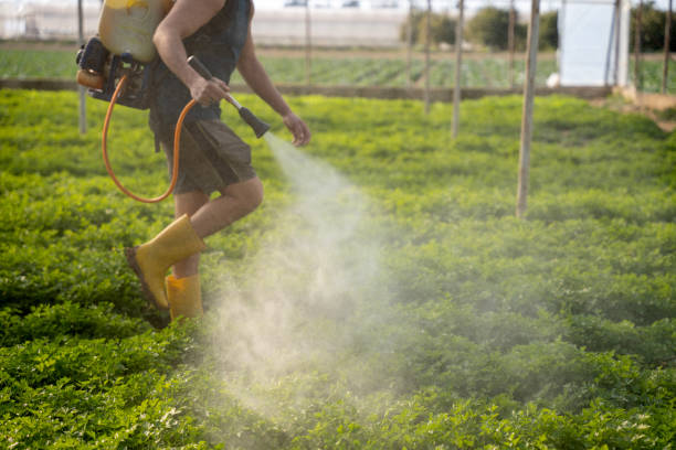 Best Emergency Pest Control  in Cavalero, WA