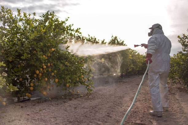 Trusted Cavalero, WA Pest Control Experts