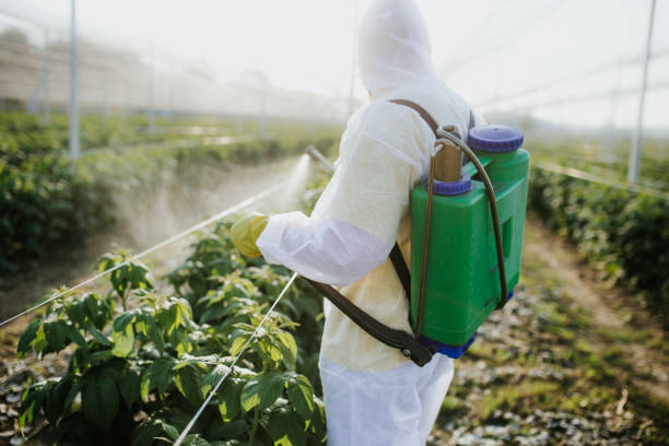 Best Wasp Removal Services  in Cavalero, WA